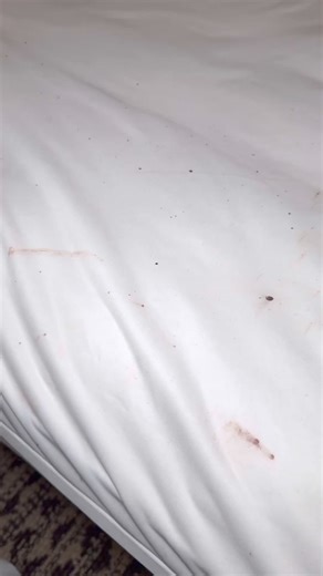 24K views · 215 reactions | I waited a long time to revisit the newly...