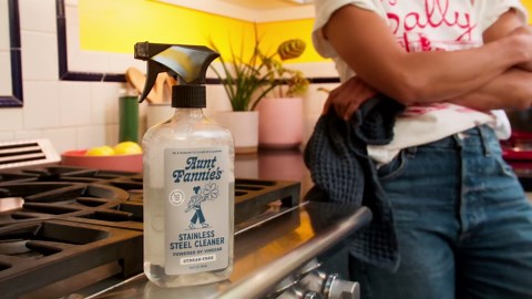 Aunt Fannie's Stainless Steel Spray Cleaner, Powered by Vinegar, Fingerprint and Residue Remover for Refrigerator, Dishwasher, Oven, Grill, Sink, Stovetop, and Other Appliances, Pack of 1