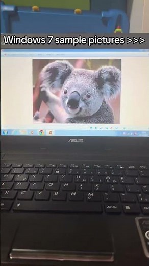 Windows 7 Sample Pictures #shorts