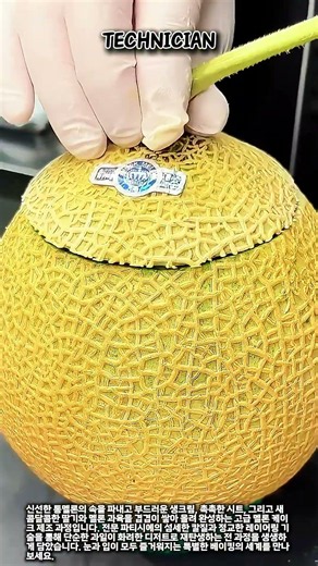 통멜론의 화려한 변신! 수제 멜론 통 케이크 만들기 #workers #process #melon #cake #baking