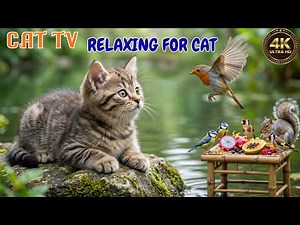 Relaxing Cat TV 🐿️ Cozy Nature Sounds with Birds & Squirrels for Happy Cats 😸 No Ads| SkyBird Cat TV