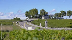 The Médoc vineyards, with their iconic châteaux along the route of the great wines, offer a prestigious panorama of lush vines and renowned estates.