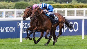 Arc de Triomphe: What the trainers are saying ahead of Sunday's race