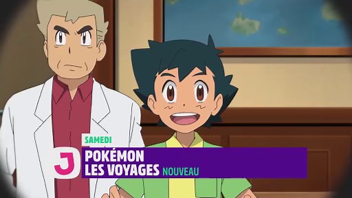Pokémon : Les voyages
