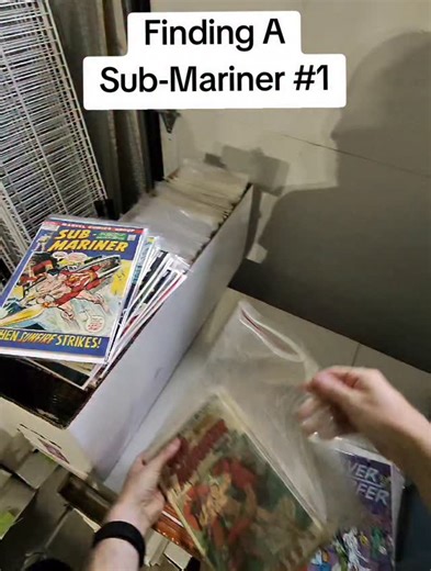 Gary Peppe on Instagram: "Sub-Mariner Books. These covers were all great. #comicbooks #avengersdoomsday #comiccollection"