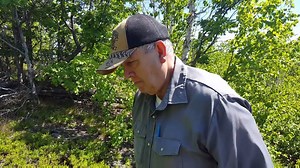 2.6K views · 27 reactions | CBC Sudbury on Reels | Facebook