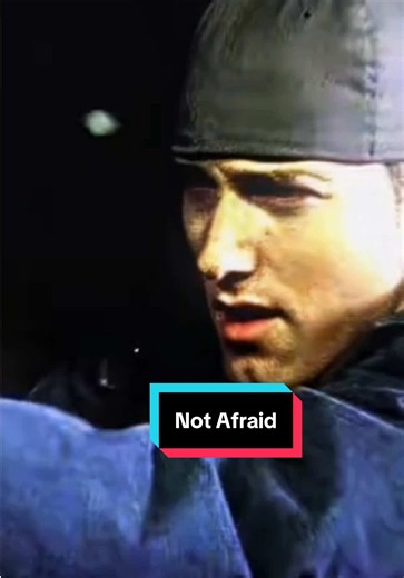 Not Afraid lyrics excerpt — Eminem Stan / Not Afraid quote