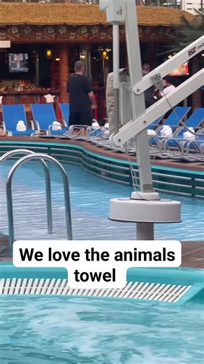 Carnival Cruise Line Miami Blog on Reels