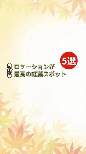 この時期だけ！秋色に染まる栃木の絶景🍁 自然豊かな栃木でしか見られない、ロケーション最高の紅葉スポットを厳選してお届け！ ぜひおでかけの参考にしてみてね😃 ——— Information ——— 📍①鬼怒楯岩大吊橋（日光市） 栃木県日光市鬼怒川温泉大原1436 Photo by @akiko_o4 📍②紅の吊橋（那須塩原市） 栃木県那須塩原市塩原字古町 Photo by @momotomo1179 📍③大芦渓谷（鹿沼市） 栃木県鹿沼市草久1892 Photo by @hamasan82 📍④メタセコイア並木道（野木町） 栃木県下都賀郡野木町野木3324-1 Photo by @yokota.tsubasa 📍⑤深沢もみじ園 瑞光園（茂木町） 栃木県芳賀郡茂木町深沢353-2 Photo by @motegitown ・・・・・・・・・・・・・ ＼今週末に出かけたくなる栃木の観光情報をお届け／ 知られざる栃木の魅力をみんなで発掘しましょう。 @kankotochigi ・・・・・・・・・・・・・ #本物の出会い栃木 #とちぎ旅 #栃木さんぽ #とちぎきぶん #紅葉 #栃木紅