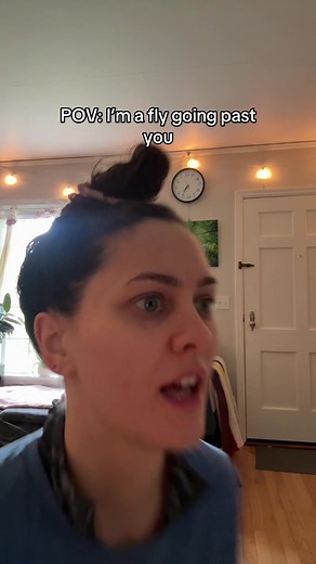 POV: You're a Fly Buzzing Around