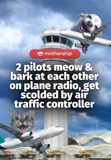 me when I get scheduled with my work bestie 👯‍♀️ On Apr. 12, two pilots were heard making meowing and barking noises over the interplane comm system at Ronald Reagan Washington National Airport. While an air traffic controller interrupted the moment, telling them to “be professional”, comments online praised the interaction with some saying that they would “trust these guys to fly me anywhere”. Photo via Bodach Liath/Google Maps #mothershipnews #mothershipabroad
