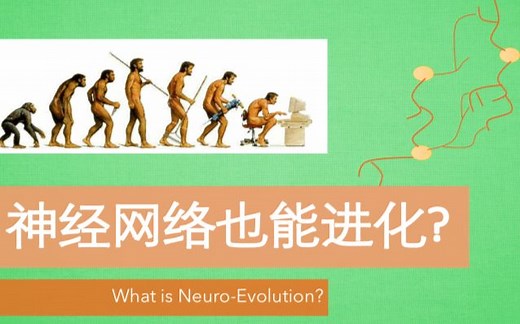 什么是神经网络进化? What is Neuro-Evolution?