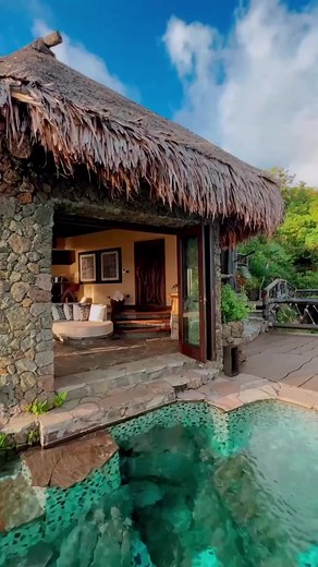 Escapada a un árbol en una isla privada