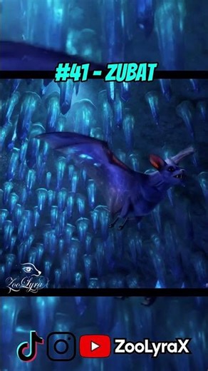 What If Zubat Existed In Real Life? 🦇 | Pokemon In Real Life: Zubat #41