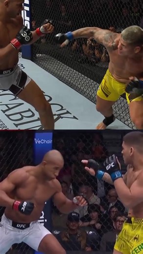 Análisis de la Pelea de Robocop en UFC
