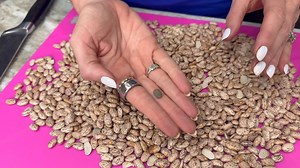 Let your slow cooker do the work! These crock pot pinto beans are hearty, flavorful, and so easy to make. 🫘 Say RECIPE and I will send you this recipe! #CrockPotRecipes #PintoBeans #EasyDinner #SlowCookerMeals #ComfortFood https://www.eatingonadime.com/crock-pot-pinto-beans-recipe/ | Eating on a Dime