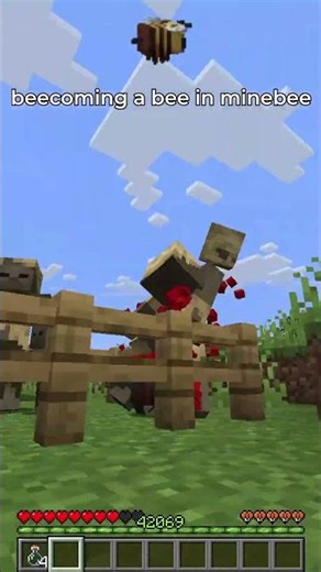 bee transformation in minecraft 🐝