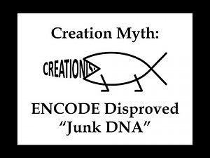 Creation Myth: ENCODE Disproved Junk DNA
