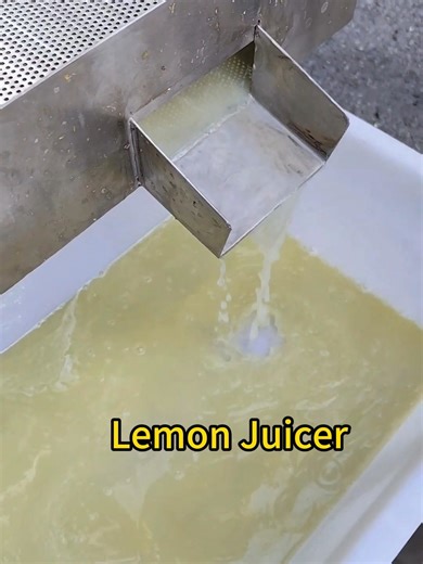 Effortless Citrus Juicing Machine for Fresh Lemonade
