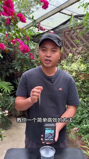 3 Telltale Signs of Orchid Root Rot - Save Your Plant