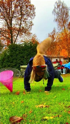 Witch hat [sound ib ‪@jupiter.da.ali3n‬ ] #antizoo #therian #furry #silly