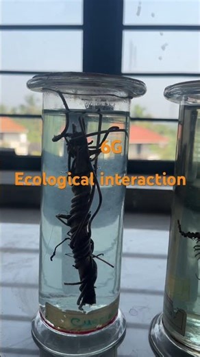 Botany practical 2026|