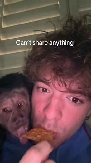 I just wanted one more bite 🙊 #fyp #dexthemonkey #animallovers #viral #monkey