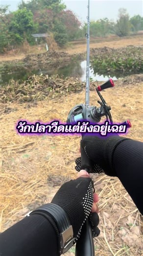 นึกว่าหลุดไปละ#กบยางบาคุ