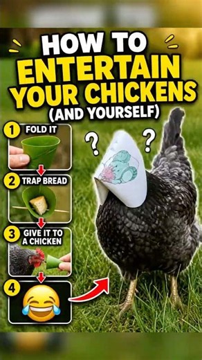 How to Instantly Entertain Your Chickens - Make a Chicken Mask!