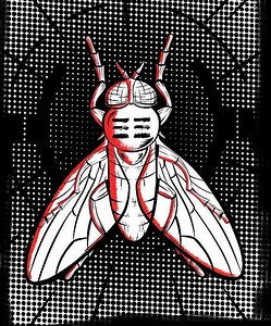 Crossbreed Concert & Tour History (Updated for 2026) | Concert Archives