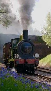 O1 dashing through the Bluebells! #train #railwaycontent #steamengine #trainspotting #railtrack