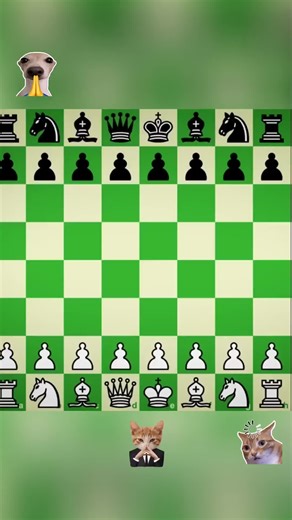 Mastering Pawn Strategies in Chess