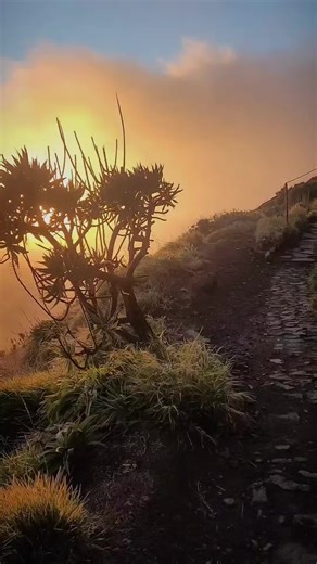 #hiking #moutains #madeira #sunset #ridge