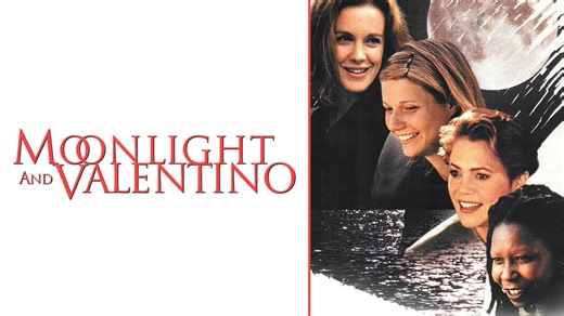 Moonlight and Valentino (1995)