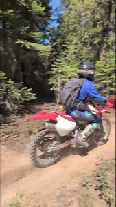 Summer ride in Kennedy Meadows with Josh, through the trees !