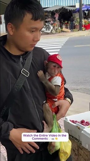 Cubis Monkey obediently goes to the market with Dad! #monkey #babymonkey