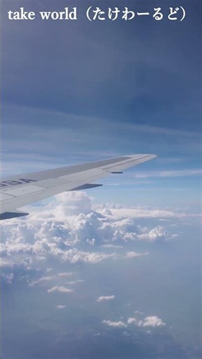 【毎日投稿】ANA空の旅 #shorts