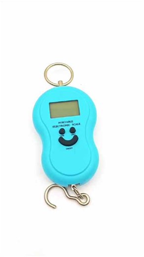 50KG Fishing Hanging Electronic Hook Food Essential Luggage for Traveling Portable Scale Commonly Used at Home Luggage Scale