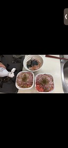 牛トロフレークを使った絶品牛丼の楽しみ方