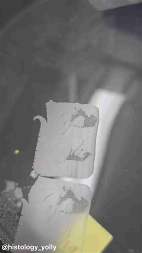 Super Humans And High Tech Machines Achieving Perfect Results