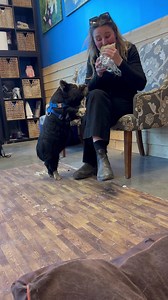 Aunt Tess holding out on Little Lilly Jelly Roll. Can’t you see she is having a burrito meltdown . It’s a number 10 emergency, she needs a bite stat 😂 She was in VA at @bionicpets getting her new prosthetic. Peace , Love & Pigs | Arthur's Acres Animal Sanctuary