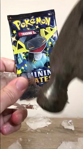How To Open POKEMON CARDS the CORRECT way!