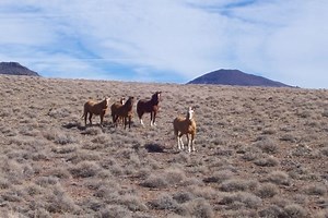 Calico Hills, Humboldt County, Nevada - Alchetron, the free social encyclopedia