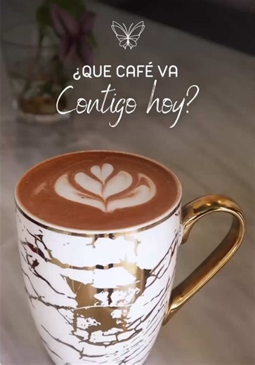 4 Tipos de Café para Disfrutar en Alameda Café | Mes del Café