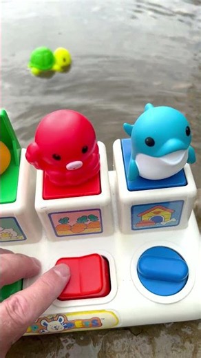 Pop Up Animal Toy Water Splash Fun for Toddlers