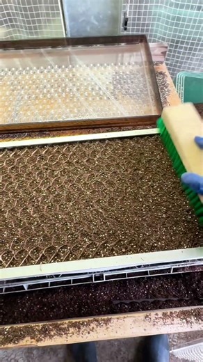 The Future of Small Farms: Efficiency with Paper Chain Pots🌱