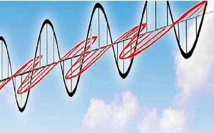 rosie bothers caillou【英文动画片】