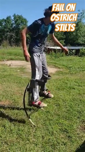 how to fall on ostrich stilts #fail