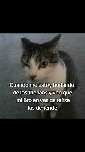 La Burla a los Therians y sus Defensores