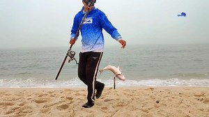 270K views · 3.5K reactions | الملكة على المباشر 呂 ( دوراد-زريقة-الدنيس-أمون- dorade - crabe ) | AYouB/Fishing | Facebook